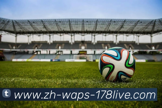 App Interface Preview