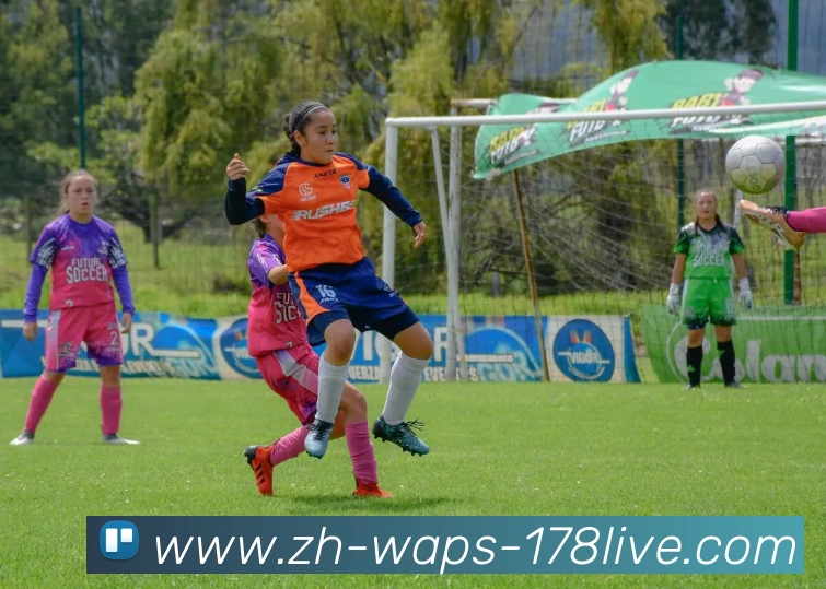 178体育直播APP 封面图